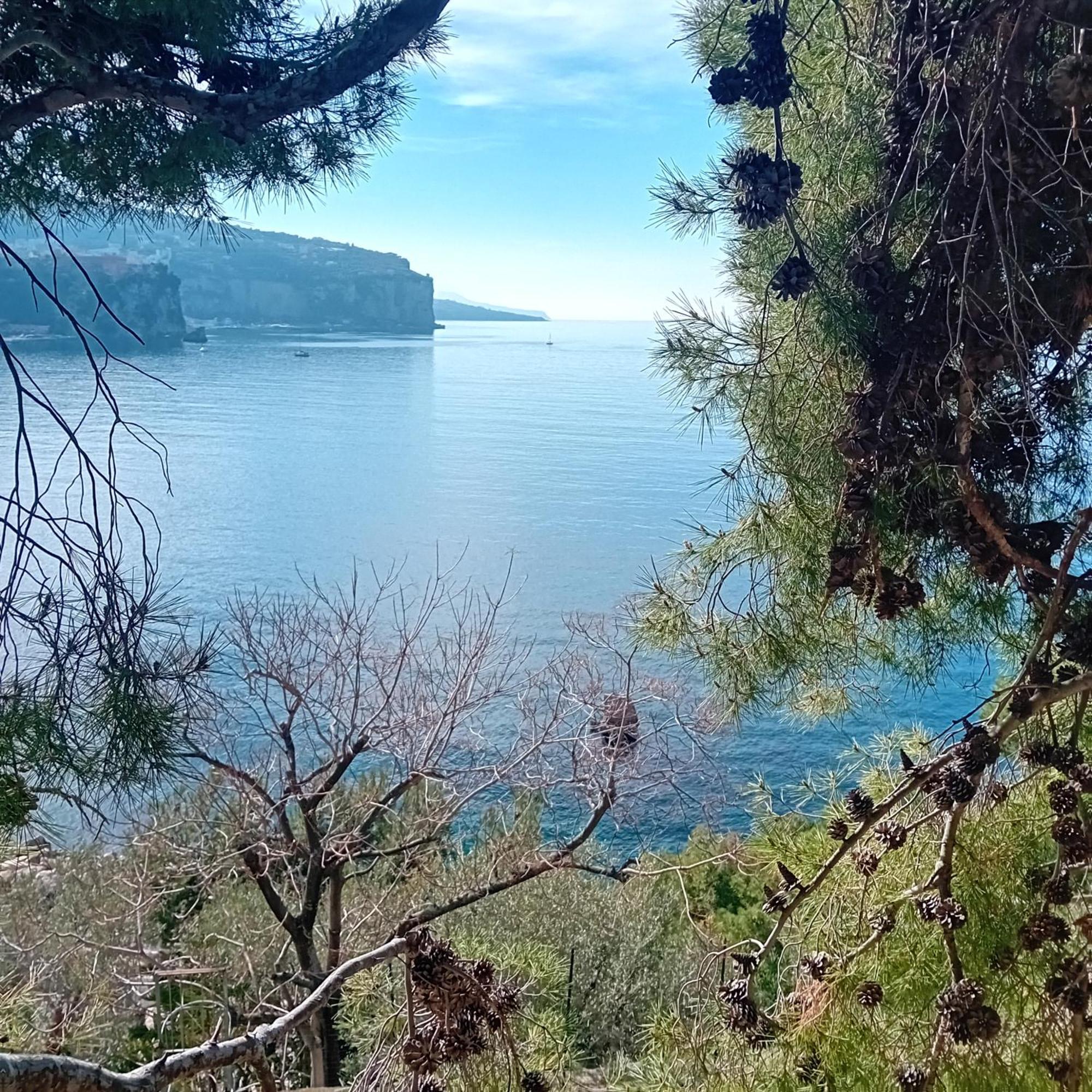 Villa La Galetta Vico Equense Zewnętrze zdjęcie