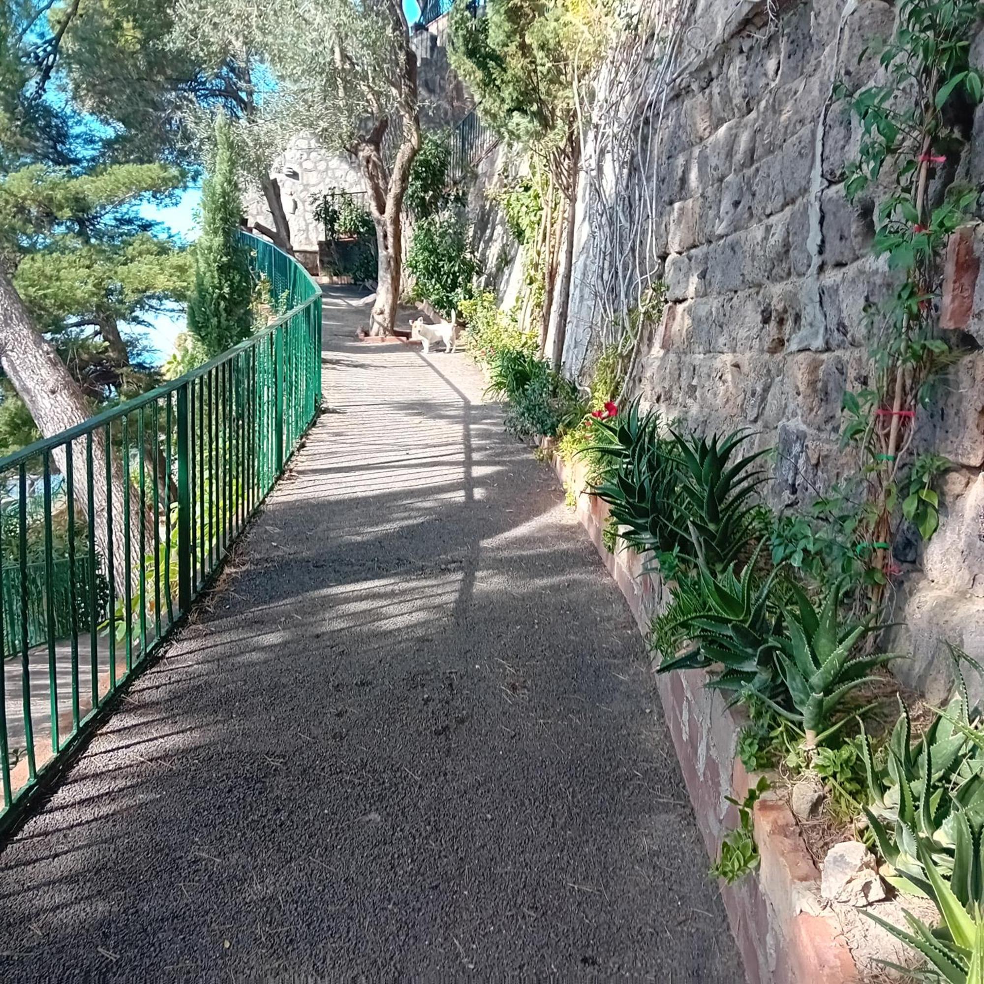 Villa La Galetta Vico Equense Zewnętrze zdjęcie