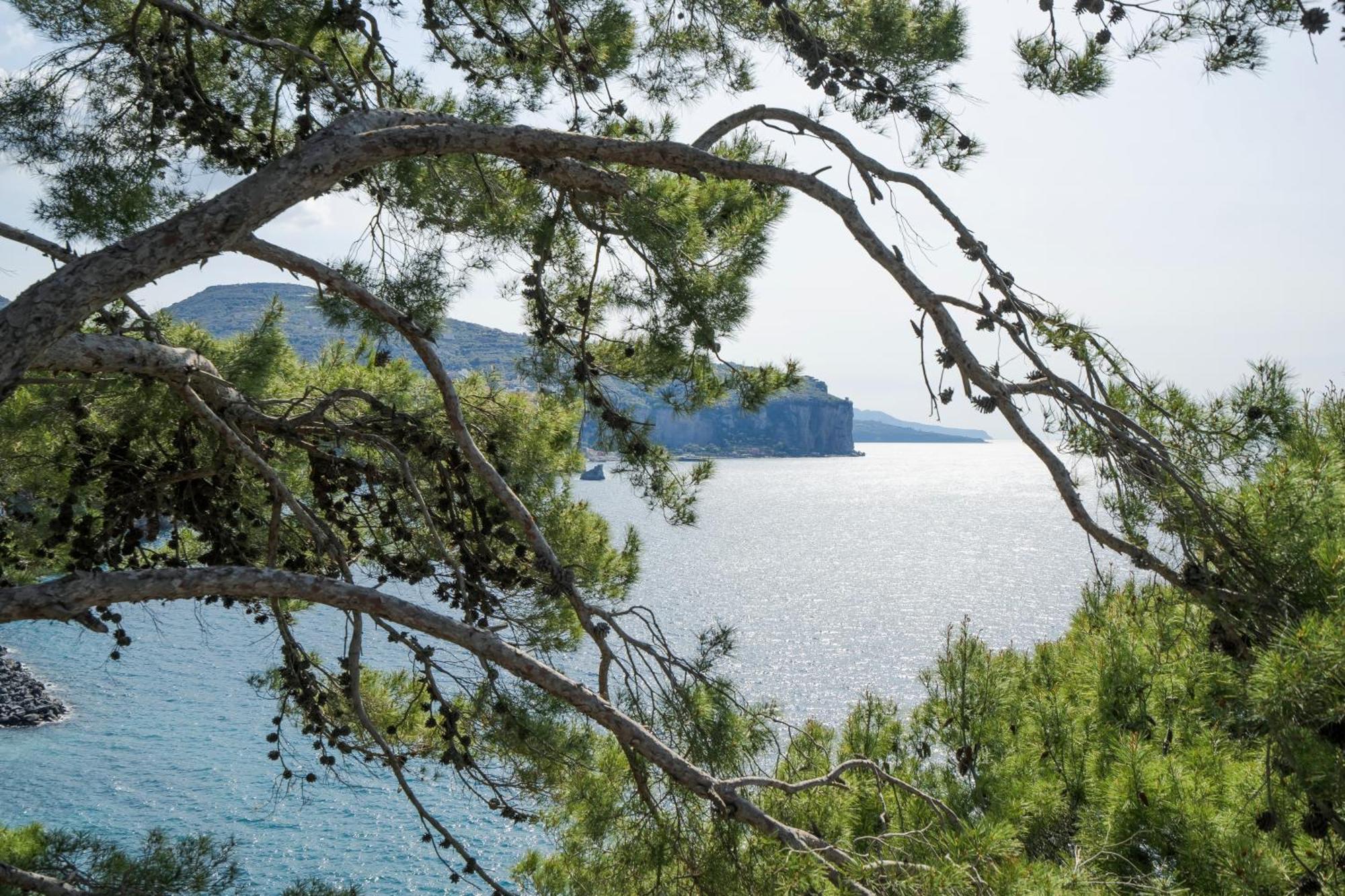 Villa La Galetta Vico Equense Zewnętrze zdjęcie
